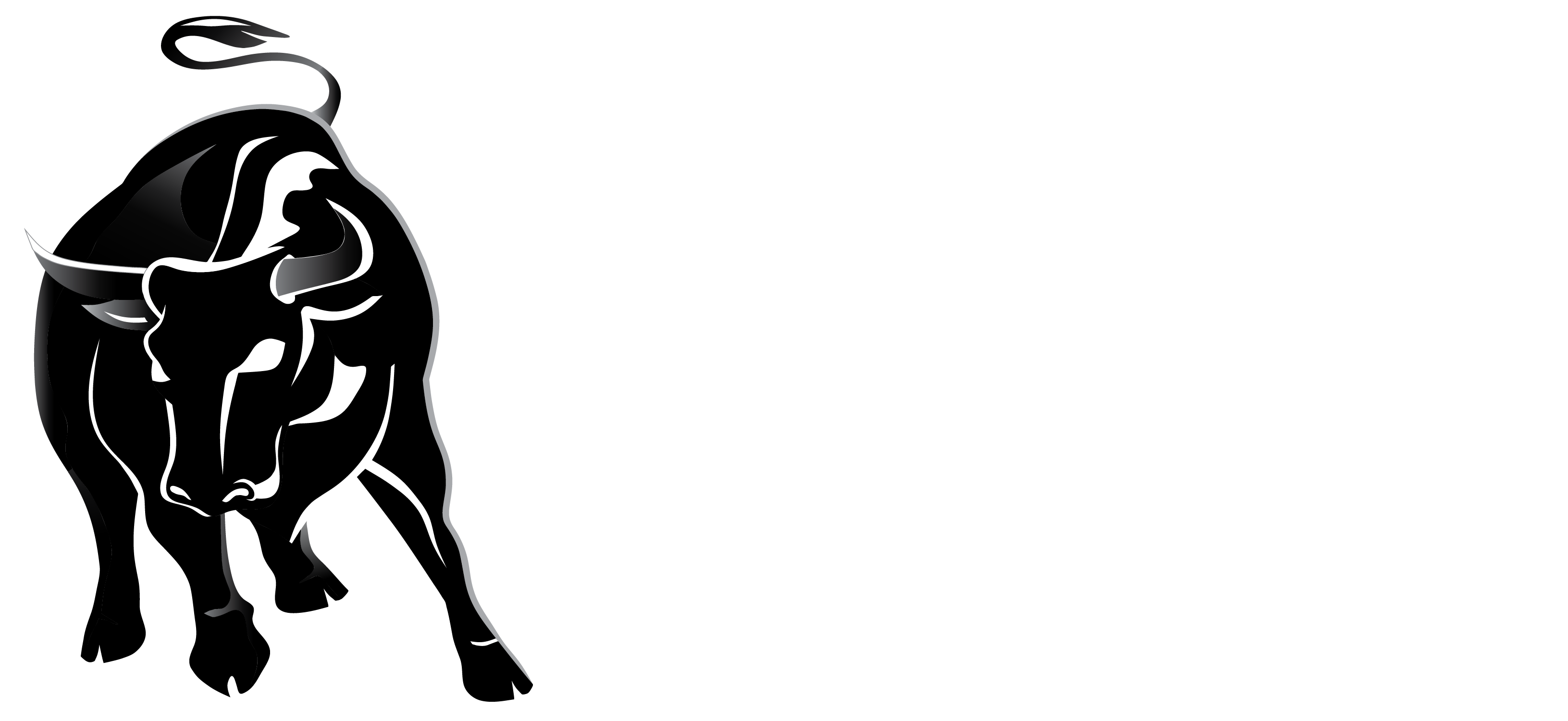 BULL RUN ACQUISITIONS